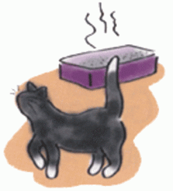 Resultado de imagem para cheiro de xixi de gato.